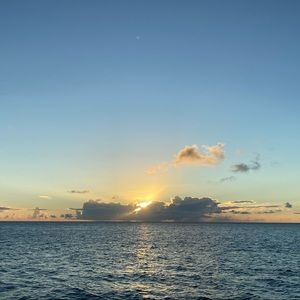 Meet your Posher, Alexa